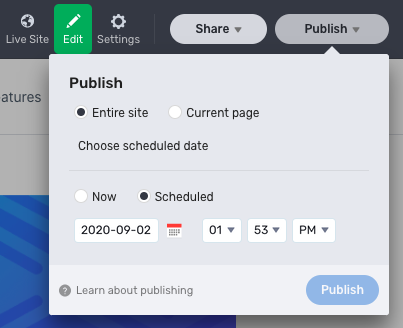 Stackbit Studio publishing controls, with the options to publish the entire site or the current page